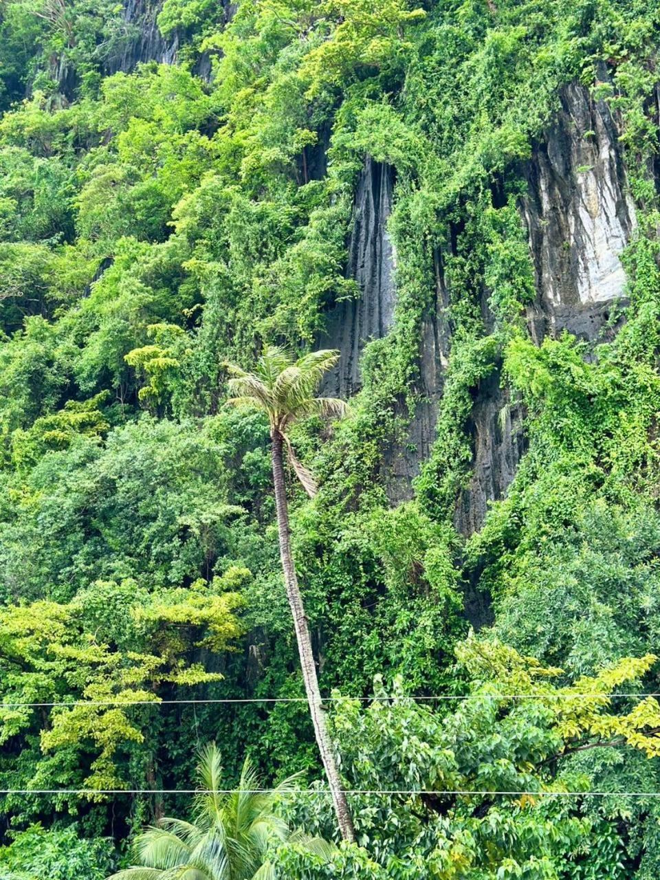 Mayad El Nido Inn 外观 照片