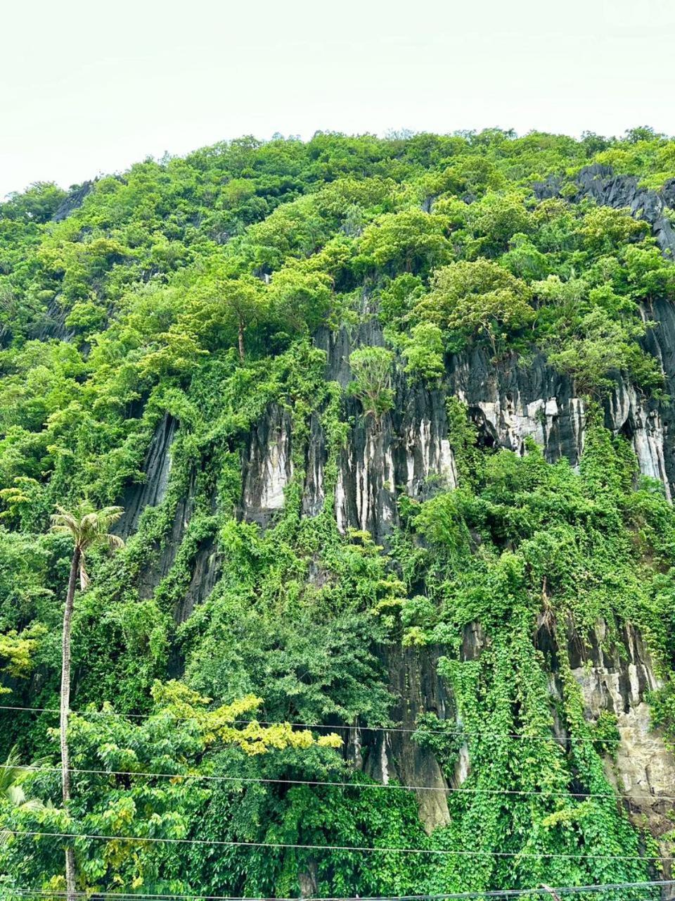 Mayad El Nido Inn 外观 照片